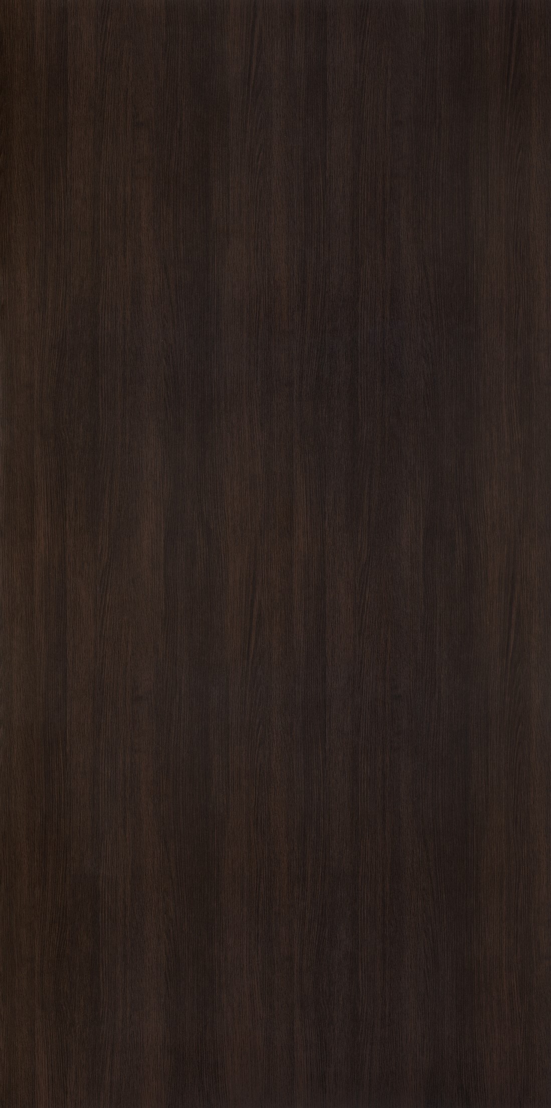 Dark Oak