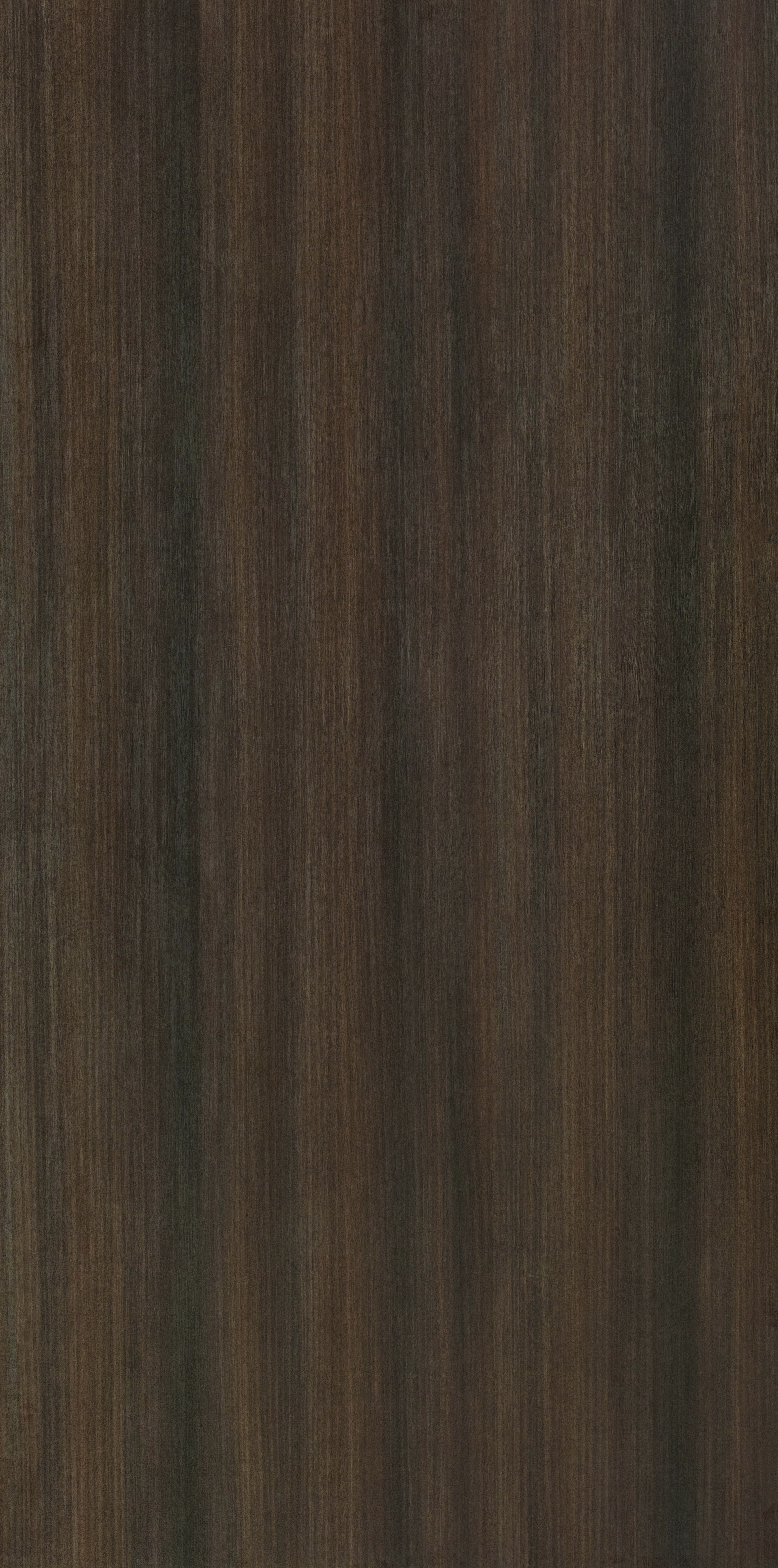 Vancouver Larch